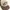 VANS Vintage Y2K Hat Pria brown photo 3