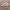 H&M Y2K Bandeau top Wanita pink photo 1