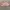 H&M Y2K Bandeau Top Wanita Pink