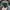Casual Hat Pria green cream photo 3