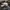 Pearly Gates Casual Hat Pria white photo 2