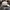 Pearly Gates Casual Hat Pria white photo 4