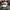 Pearly Gates Casual Hat Pria white photo 1
