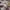 Levi's Streetwear Sportswear Formal shirt Pria multicolor photo 6
