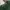 National Geographic Streetwear Skater Sweater Pria green photo 4