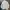 Louis Vuitton Streetwear Sportswear Formal shirt Pria multicolor photo 2