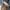 Japanese brand Vintage Luxury Cardigan Wanita gray photo 5