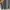 Japanese brand Vintage Luxury Cardigan Wanita gray photo 3