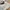 New Balance Gorpcore Casual Sneakers Wanita cream photo 2