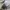 Reebok Skater Sportswear Sweater Pria white photo 4