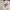 Dickies Streetwear Skater Sweater Pria white photo 2