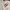 Dickies Streetwear Skater Sweater Pria White