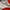Dickies Streetwear Skater Sweater Pria red gray photo 3