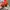 Dickies Streetwear Skater Sweater Pria red gray photo 4