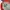 Dickies Streetwear Skater Sweater Pria red gray photo 2