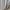 Japanese brand Vintage Luxury Cardigan Wanita white photo 4