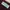 Crocodile Vintage Casual Cardigan Pria burgundy photo 5