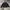 Beverly Hills Polo Club Vintage Y2K Windbreaker Pria Black