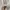 Japanese brand Vintage Luxury Cardigan Wanita tan photo 4