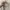 Japanese brand Vintage Luxury Cardigan Wanita tan photo 2