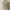 Japanese brand Vintage Luxury Cardigan Wanita tan photo 1