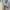 Japanese brand Vintage Luxury Cardigan Wanita gray photo 5