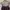 Japanese brand Lolita Minimalist Crop top Wanita burgundy photo 2