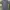 Uniqlo Casual Reworked Formal Shirt Pria Purple