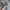Blackyak Gorpcore Sportswear Hat Pria tan photo 3