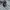 Blackyak Gorpcore Sportswear Hat Pria tan photo 1