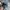 Japanese brand Vintage Y2K Hat Pria blue photo 2