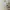 Japanese brand Vintage Luxury Blouse Wanita white photo 1