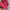 Japanese brand Biker Casual Hat Pria red photo 2
