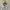 Japanese brand Luxury Minimalist Blouse Wanita white cream photo 2