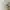 Japanese brand Luxury Minimalist Blouse Wanita white cream photo 1