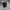 Zoo York Streetwear Casual Hat Pria Pink Black