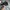 Zoo York Streetwear Casual Hat Pria pink black photo 3