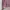 Japanese brand Luxury Minimalist Cardigan Wanita pink photo 3