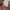 Japanese brand Luxury Minimalist Cardigan Wanita pink photo 5