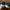 VANS Casual Sneakers Pria white black photo 2