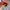 Under Armour Streetwear Biker Hat Pria orange photo 3