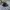 Japanese brand Vintage Y2K Hat Pria black photo 1