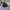 Japanese Brand Vintage Y2K Hat Pria Black