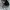 Japanese brand Vintage Y2K Hat Pria black photo 2