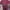 Casual Reworked Formal Shirt Pria Burgundy
