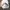 Made in USA Vintage Streetwear Hat Pria white photo 4