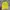 Pancoat Streetwear Sportswear Sweatshirt Pria Yellow