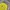 Pancoat Streetwear Sportswear Sweatshirt Pria Yellow