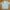 Lotto Sport Italia Sportswear Jersey Pria gray photo 1