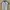 Polo Ralph Lauren Vintage Casual T-shirt Pria white navy photo 1